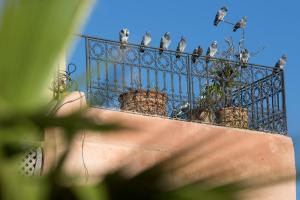 un groupe d'oiseaux assis au sommet d'une clôture dans l'établissement Riad El Maktoub, à Marrakech