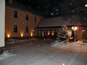 ein Gebäude mit einem Weihnachtsbaum im Schnee in der Unterkunft Hotel Heidehof in Königswartha