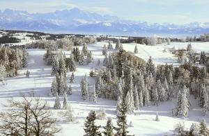 a snowy field with trees and snow covered mountains at Azureva Métabief in Métabief