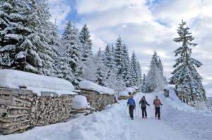 a group of three people on skis in the snow at Azureva Métabief in Métabief