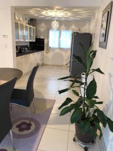 uma cozinha e sala de jantar com uma mesa e uma planta em Home Auray em Auray