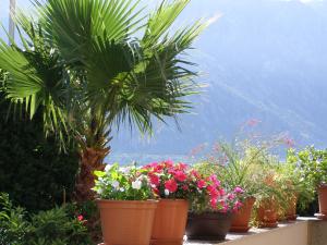 Paesaggio naturale nelle vicinanze dell'appartamento