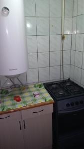 Il comprend une cuisine équipée d'une cuisinière et d'un comptoir. dans l'établissement Базилік Люкс, à Yaremtche