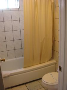 a bathroom with a shower curtain and a toilet at American Inn in South El Monte