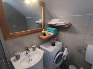 Koupelna v ubytování Apartment Vesna