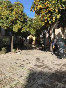 a person standing next to a sign on a street with trees at Apartamentos Flamenco B&B in Seville