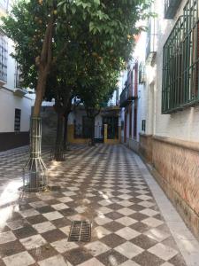 an empty street with a tree and a building at Apartamentos Flamenco B&B in Seville