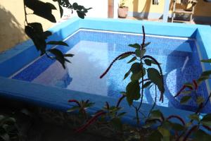 Piscina di Hostal La Tortuga Booluda o nelle vicinanze