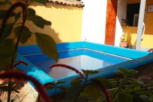 a blue swimming pool in a house with a plant at Hostal La Tortuga Booluda in León