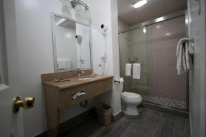 a bathroom with a toilet, sink, and shower at Alpha Inn and Suites in San Francisco