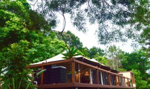 uma casa na árvore no meio da floresta em Clouds Serenity em Beechmont