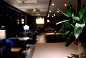 Un lugar para sentarse en Jolley Hotel
