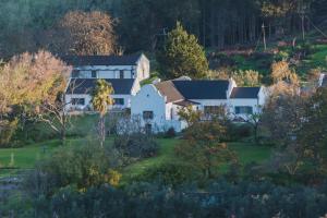 duży biały dom na wzgórzu z drzewami w obiekcie Wildekrans Country House w mieście Botrivier
