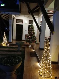 dwa drzewka świąteczne w pokoju ze światłami w obiekcie Sayo Villa w Negombo
