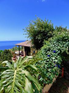 un jardín con plantas, una casa y el océano en Casa Rosa, en Tijarafe