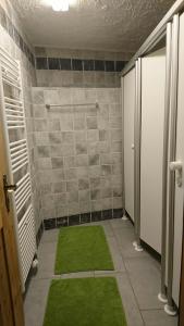ein Badezimmer mit grünen Teppichen und einer Dusche in der Unterkunft Gîte l'Ermitage in Veysonnaz