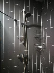 Et badeværelse på Alpéstrine - Vista Gudauri - Apartment N27