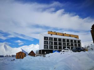 Alpéstrine - Vista Gudauri - Apartment N27 om vinteren