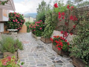 a garden with flowers and plants on a patio at Muses Studios Sami in Sami
