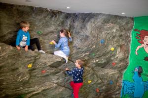 Majutusasutuse Familienhotel Felsenhof külastajad