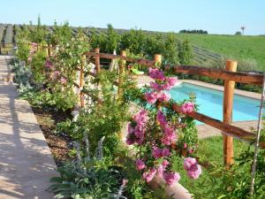 A garden outside Farmhouse in Montalto near the Beach