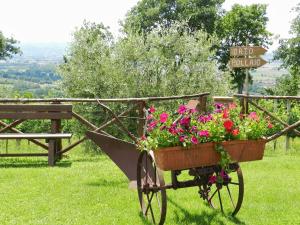 Zahrada ubytování Agriturismo La Rocca Assisi