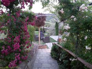 a garden with pink flowers and a pathway at Le Fonti A San Giorgio in Montespertoli