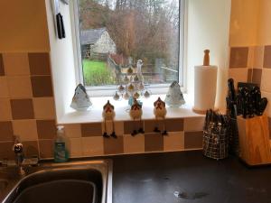 Una encimera de cocina con un fregadero y una ventana. en Bryn Melyn Farm Cottages, en Bala 136 fotos más
