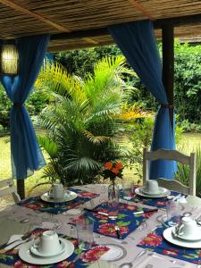 Um jardim em Pousada Casa Azul