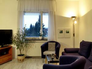 康斯坦茨的住宿－Haus Hornwiesenstraße，带沙发和窗户的客厅