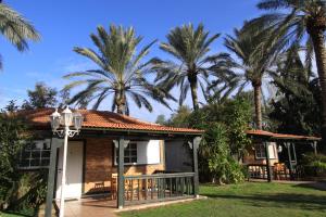 a house with palm trees in the background at Batei Nurit in Moshav Ramot