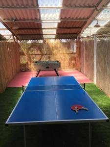 a blue ping pong table with a ping paddle on it at Batei Nurit in Moshav Ramot