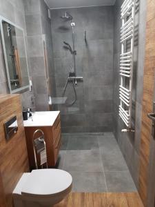 Apartament MODERN z ogrodem في شكلارسكا بوريبا: حمام مع دش ومرحاض ومغسلة
