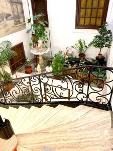 a balcony with a bunch of potted plants on it at Hotel de l'Academie in Nancy