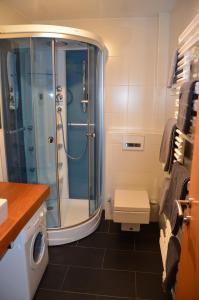 łazienka z prysznicem i toaletą w obiekcie Apartment Kendlbacher w mieście Zell am See