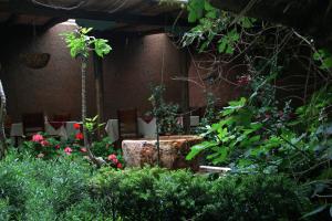 Zahrada ubytování Hotel Ines Maria