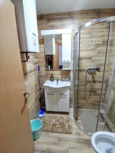 ein Badezimmer mit Dusche und Waschbecken in der Unterkunft Apartmani Stelo Jahorina in Jahorina + 19 Fotos