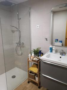 a bathroom with a shower and a sink at estudio con vistas in Sierra Nevada