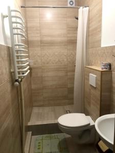 a bathroom with a shower with a toilet and a sink at Fayniy Motel in Tatariv