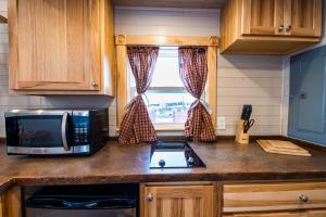 Tiny House Leadville Colorado的厨房或小厨房