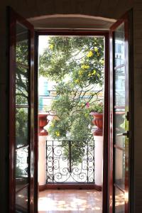 Boutique Hotel Antinea في كيتو: باب مفتوح فيه نبات على شرفة