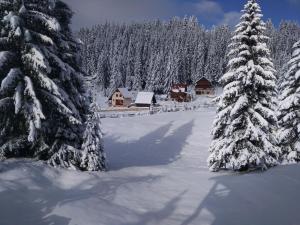 Apartment Durmitor v zimě