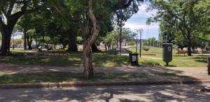 park z ławkami i drzewem w parku w obiekcie Hotel Hostal Caballito Blanco w mieście Santa Fe