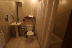 a bathroom with a toilet and a sink and a shower at Hostal Santa Maria Huife in Pucón