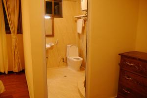 a bathroom with a toilet and a shower and a sink at Tabor Hotel Lalibela in Lalibela