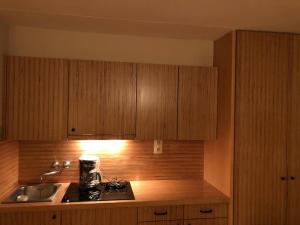 a kitchen with wooden cabinets and a sink at Kitzbühel City 2 in Kitzbühel