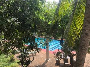 Bassein majutusasutuses Ypsylon Tourist Resort või selle lähedal