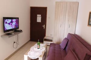 a living room with a couch and a table and a television at Guest House Olga in Budva