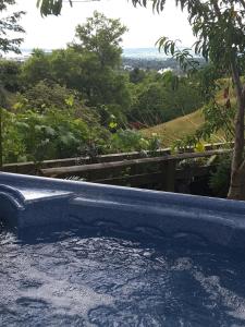 a blue bath tub with a view of a tree at Geyser Lookout BnB in Rotorua