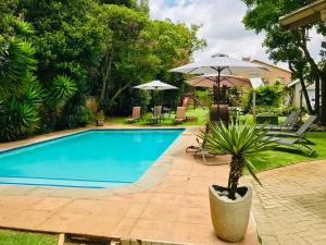 a swimming pool with a potted plant and umbrella at Aerotropolis Guest Lodge in Kempton Park